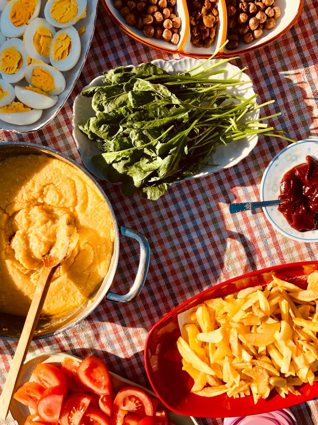 El poder transformador de la educación alimentaria en nuestra salud diaria